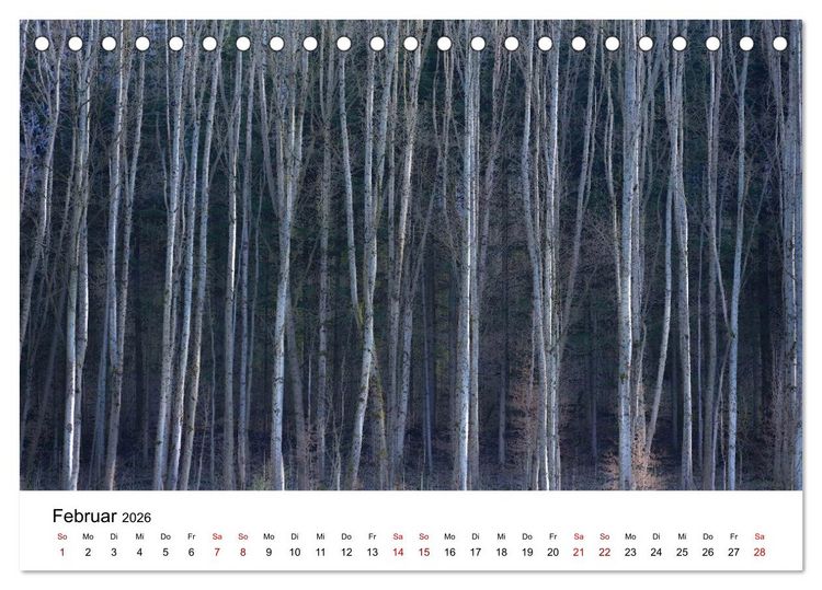 Produktbild: B&auml;ume - Wunder der Natur (Tischkalender 2026 DIN A5 quer), CALVENDO Monatskalender