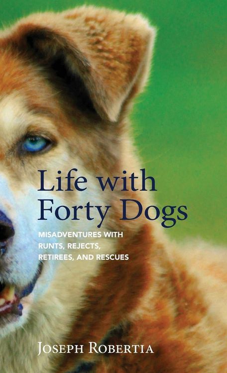 Produktbild: Life with Forty Dogs
