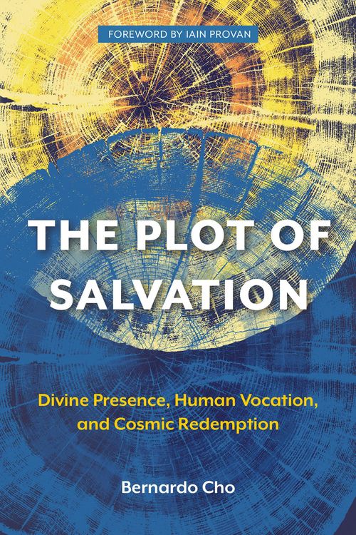 Produktbild: The Plot of Salvation