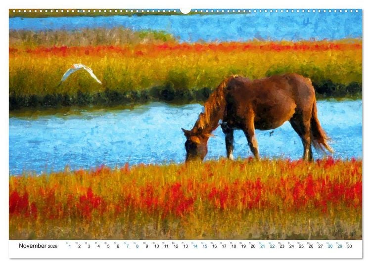 Produktbild: Hiddensee - Malerische Insel der Ostsee (hochwertiger Premium Wandkalender 2026 DIN A2 quer), Kunstdruck in Hochglanz