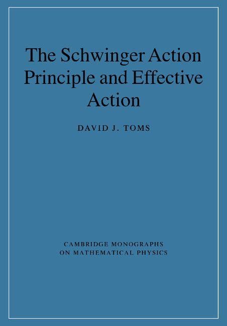 Produktbild: The Schwinger Action Principle and Effective Action