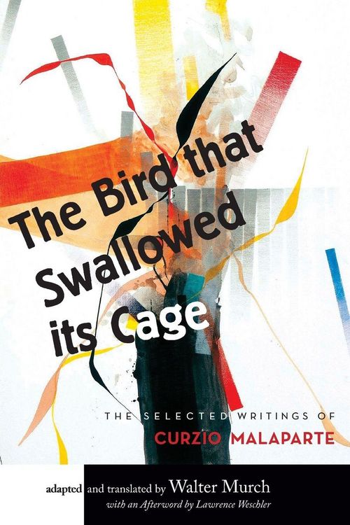 Produktbild: The Bird that Swallowed Its Cage