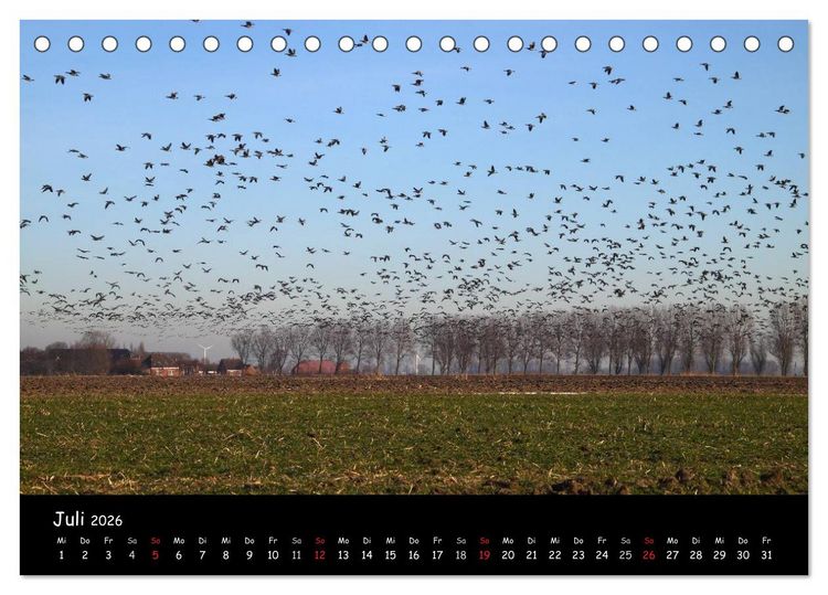 Produktbild: Schrei der Wildg&auml;nse (Tischkalender 2026 DIN A5 quer), CALVENDO Monatskalender