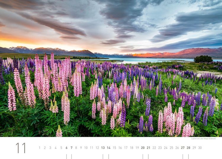 Produktbild: Neuseeland Exklusivkalender 2027