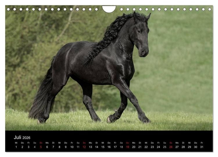 Produktbild: Friesen - Sch&ouml;nheit, Kraft und Eleganz (Wandkalender 2026 DIN A4 quer), CALVENDO Monatskalender
