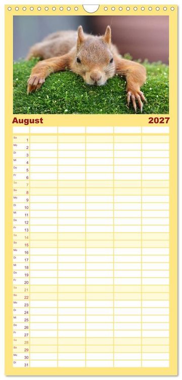 Produktbild: Familienplaner 2027 - Eichh&ouml;rnchen in zauberhaften Posen mit 5 Spalten (Wandkalender, 21 x 45 cm) CALVENDO