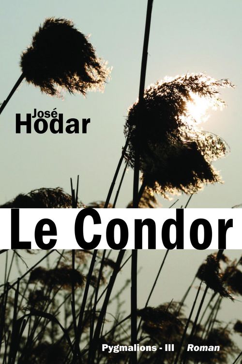Produktbild: Le Condor