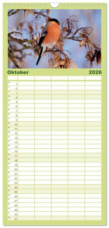 Produktbild: Familienplaner 2026 - Die farbenfrohe Welt der Finken mit 5 Spalten (Wandkalender, 21 x 45 cm) CALVENDO