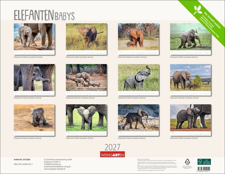 Produktbild: Elefantenbabys Kalender 2027