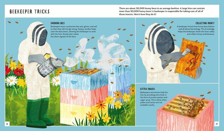 Produktbild: Honey Bee (Young Zoologist)