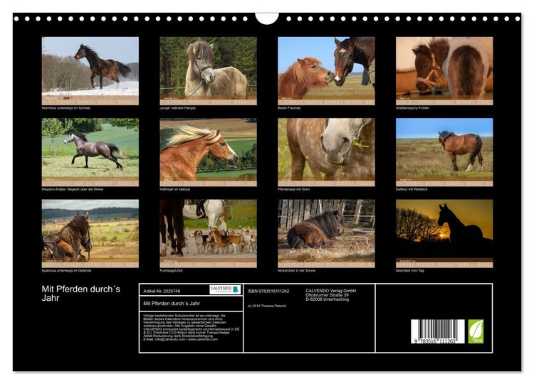 Produktbild: Mit Pferden durch&acute;s Jahr (Wandkalender 2026 DIN A3 quer), CALVENDO Monatskalender