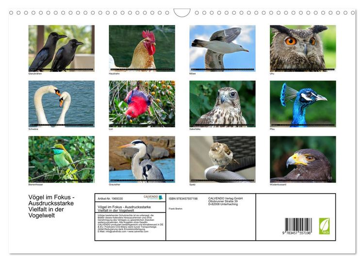 Produktbild: V&ouml;gel im Fokus - Ausdrucksstarke Vielfalt in der Vogelwelt (Wandkalender 2026 DIN A3 quer), CALVENDO Monatskalender