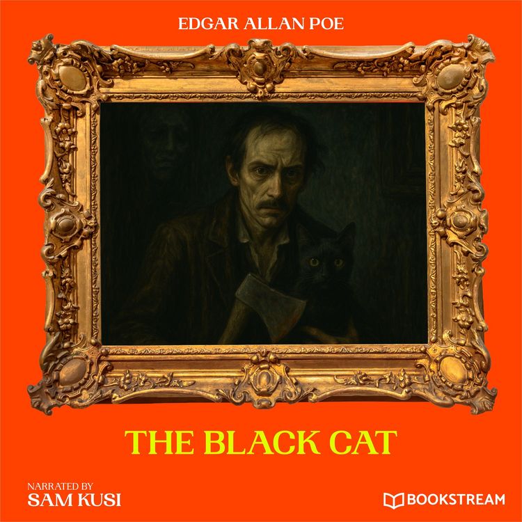 Produktbild: The Black Cat