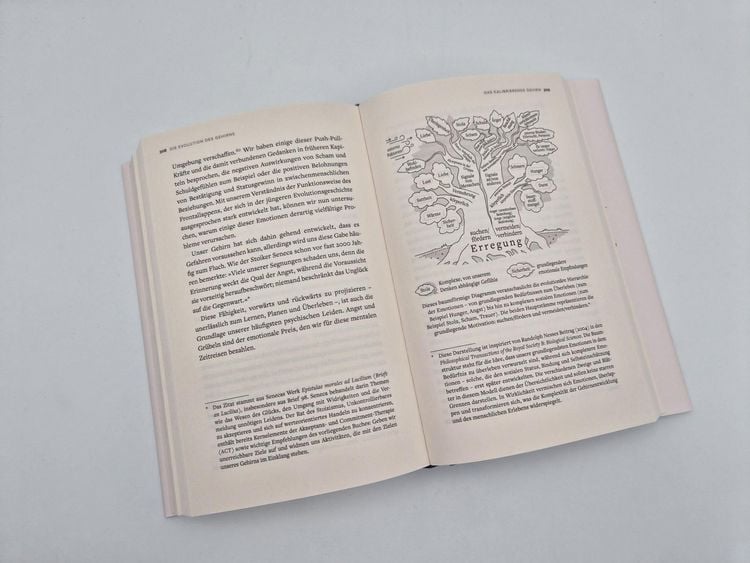 Produktbild: Die Evolution des Gehirns