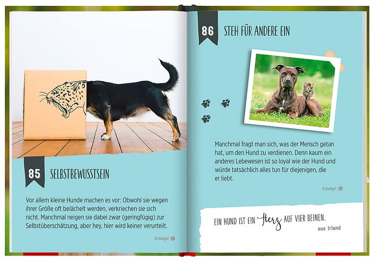 Produktbild: 100 Dinge, die man von einem Hund lernen kann