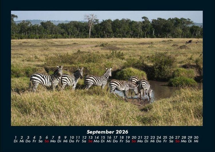 Produktbild: Zebrazauber 2026 Fotokalender DIN A4