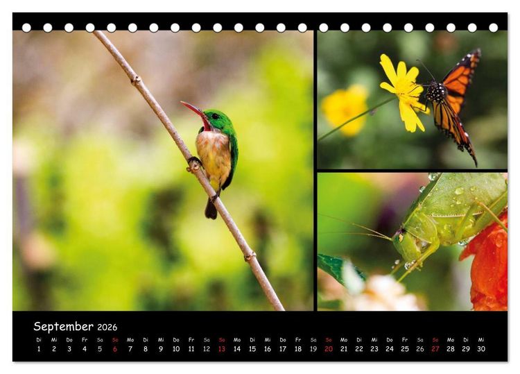 Produktbild: Dominikanische Republik Land & Leute (Tischkalender 2026 DIN A5 quer), CALVENDO Monatskalender