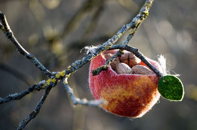 Produktbild: Kleine Lieblinge