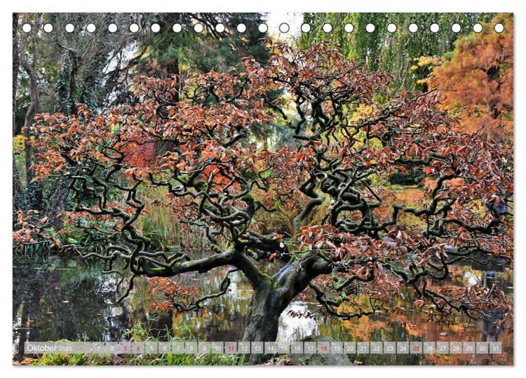 Produktbild: Fern&ouml;stlicher Zauber Japanischer Garten Leverkusen (Tischkalender 2026 DIN A5 quer), CALVENDO Monatskalender
