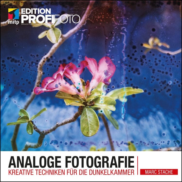 Bild vom Artikel Analoge Fotografie vom Autor Marc Stache