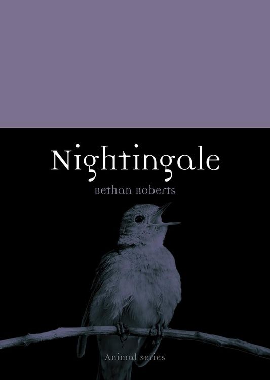 Produktbild: Nightingale