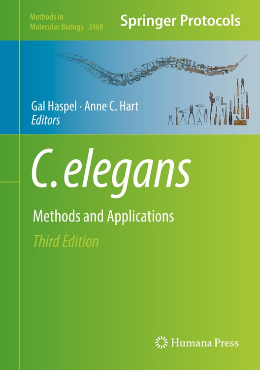 Produktbild: C. elegans