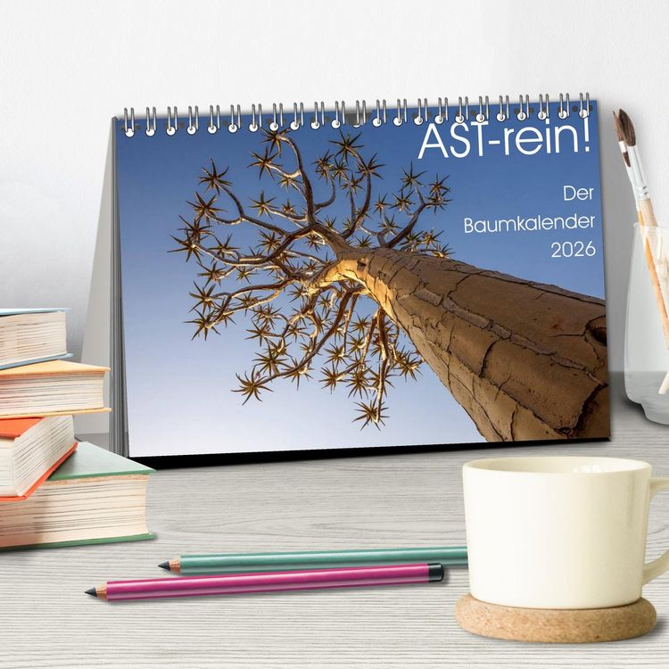 Produktbild: Astrein! - Der Baumkalender 2026 (Tischkalender 2026 DIN A5 quer), CALVENDO Monatskalender