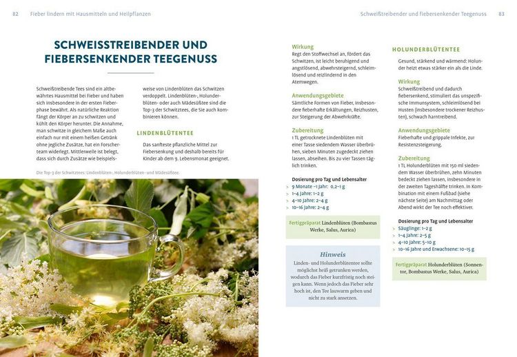 Produktbild: Naturheilkunde gegen Schmerzen und Fieber