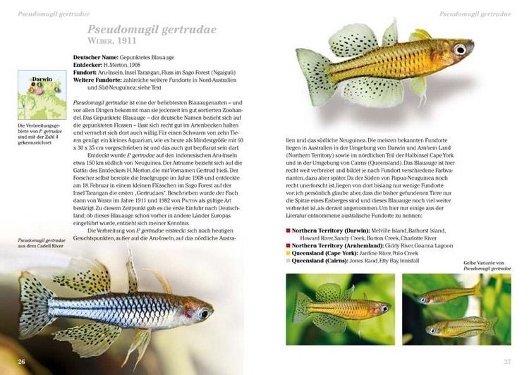 Produktbild: Blauaugen