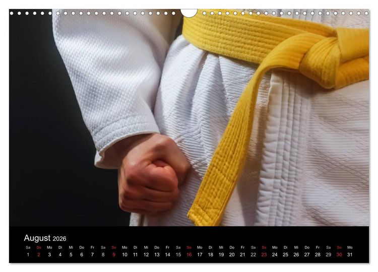 Produktbild: Kampfsport (Wandkalender 2026 DIN A3 quer), CALVENDO Monatskalender
