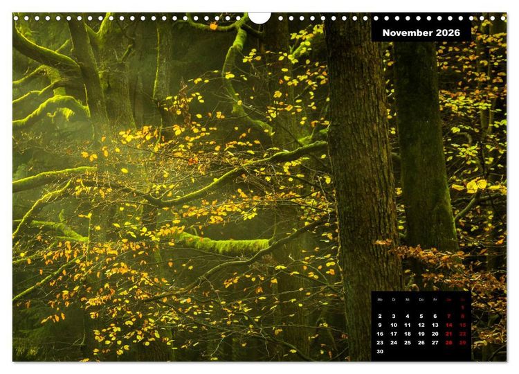 Produktbild: Malerisches Sauerland (Wandkalender 2026 DIN A3 quer), CALVENDO Monatskalender
