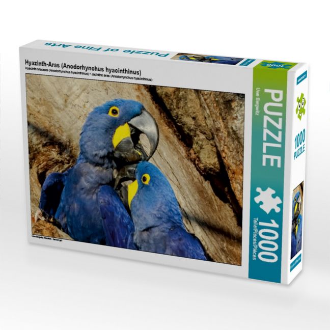Produktbild: CALVENDO Puzzle Hyazinth-Aras (Anodorhynchus hyacinthinus) | 1000 Teile Lege-Gr&ouml;&szlig;e 64x48cm Foto-Puzzle f&uuml;r gl&uuml;ckliche Stunden