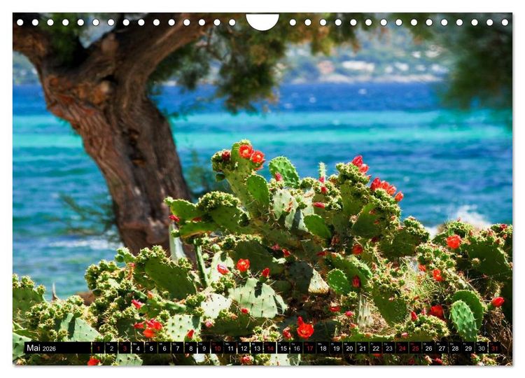 Produktbild: MALLORCA zum VERLIEBEN (Wandkalender 2026 DIN A4 quer), CALVENDO Monatskalender