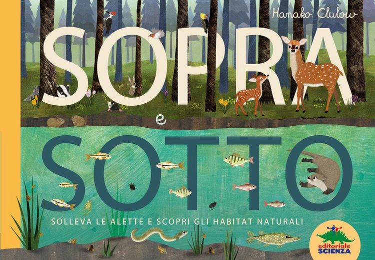Produktbild: Sopra e sotto. Solleva le alette e scopri gli habitat naturali