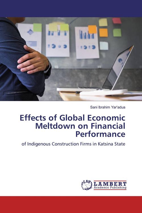 Produktbild: Effects of Global Economic Meltdown on Financial Performance