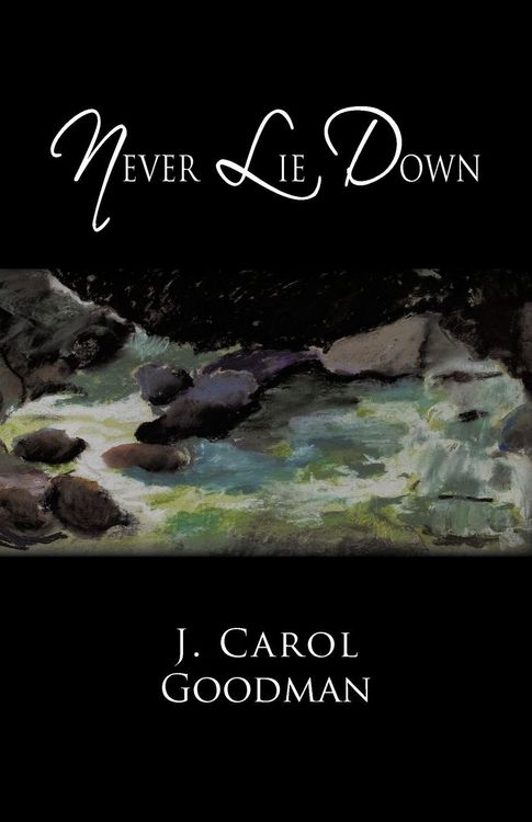 Produktbild: Never Lie Down