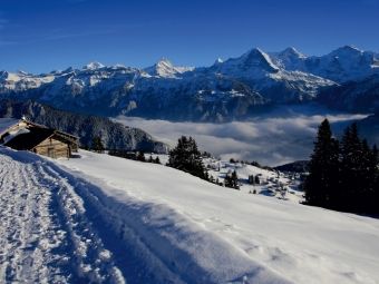 Produktbild: CALVENDO Puzzle Niederhorn, Beatenberg, Schweiz | 1000 Teile Lege-Gr&ouml;&szlig;e 64x48cm Foto-Puzzle f&uuml;r gl&uuml;ckliche Stunden