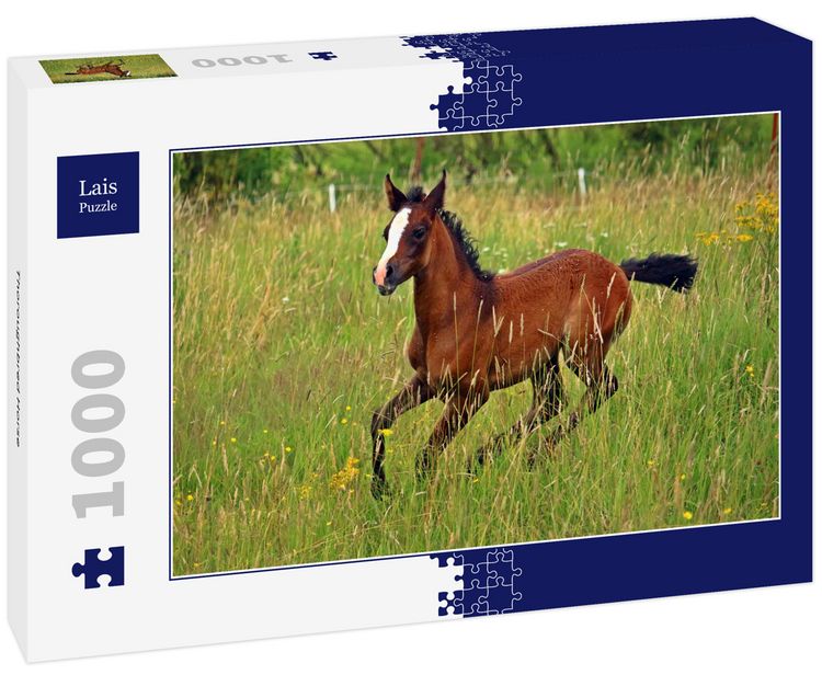 Produktbild: Lais Puzzle Thoroughbred Horse 1000 Teile