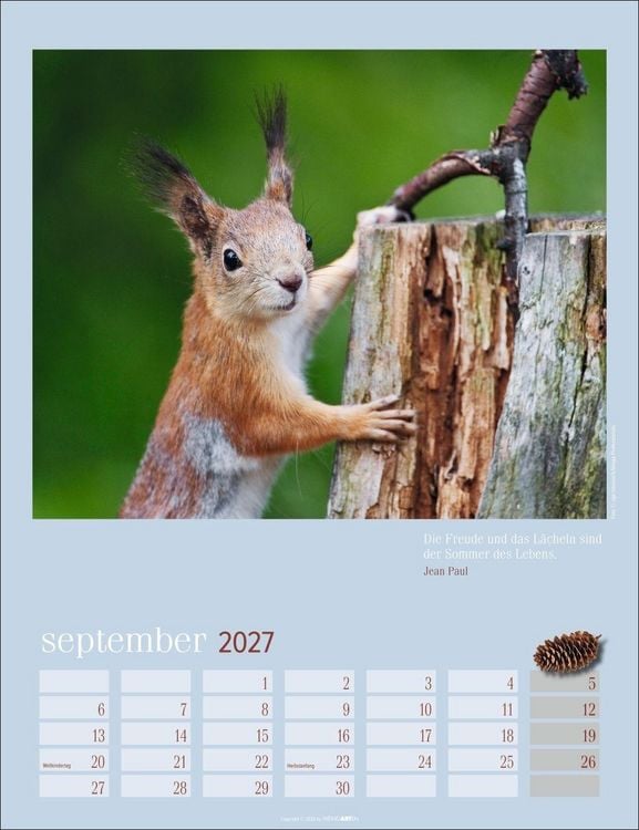 Produktbild: Eichh&ouml;rnchen Kalender 2027