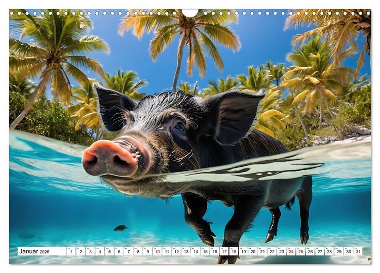 Produktbild: Schwimmende Schweine im Paradies (Wandkalender 2026 DIN A3 quer), CALVENDO Monatskalender