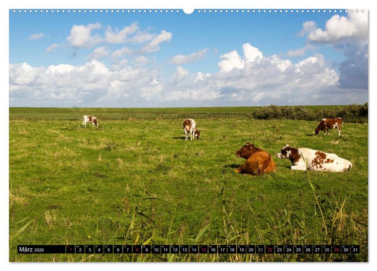 Produktbild: Gr&uuml;&szlig;e von Pellworm (hochwertiger Premium Wandkalender 2026 DIN A2 quer), Kunstdruck in Hochglanz