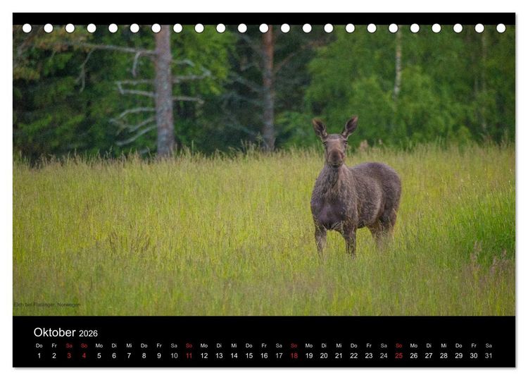 Produktbild: Naturwucht Skandinavien (Tischkalender 2026 DIN A5 quer), CALVENDO Monatskalender