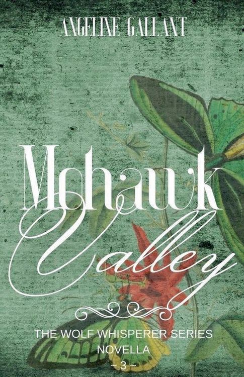 Produktbild: Mohawk Valley