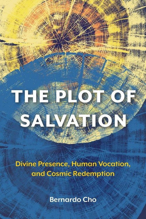 Produktbild: The Plot of Salvation