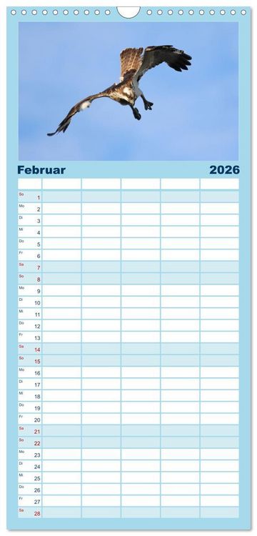 Produktbild: Familienplaner 2026 - Fischadler - Meister des Sturzfluges mit 5 Spalten (Wandkalender, 21 x 45 cm) CALVENDO