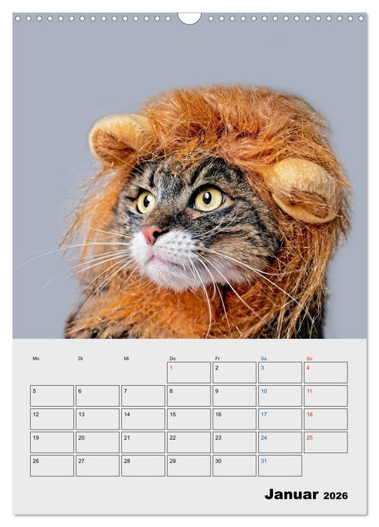 Produktbild: Crazy Catz. (Wandkalender 2026 DIN A3 hoch), CALVENDO Monatskalender