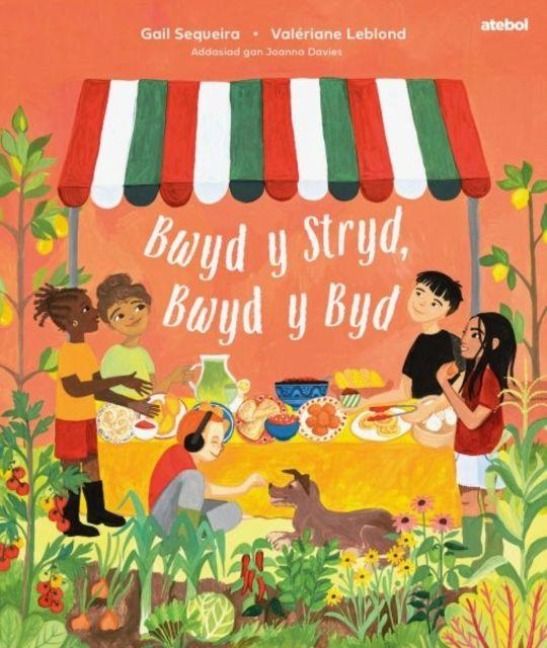 Produktbild: Bwyd y stryd, bwyd y byd
