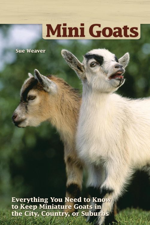 Produktbild: Mini Goats