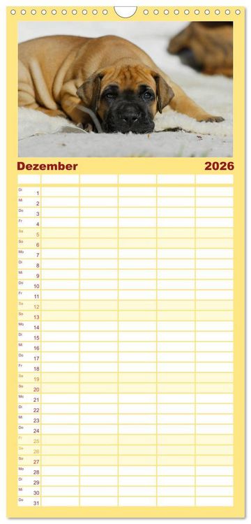 Produktbild: Familienplaner 2026 - Deutsche Dogge mit 5 Spalten (Wandkalender, 21 x 45 cm) CALVENDO