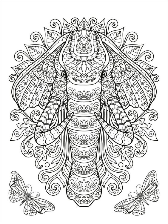 Produktbild: Mein Mandala-Tier-Malbuch &ndash; Wilde Tiere